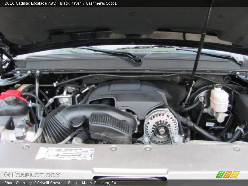 Black Raven / Cashmere/Cocoa 2010 Cadillac Escalade AWD