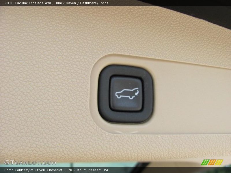 Black Raven / Cashmere/Cocoa 2010 Cadillac Escalade AWD