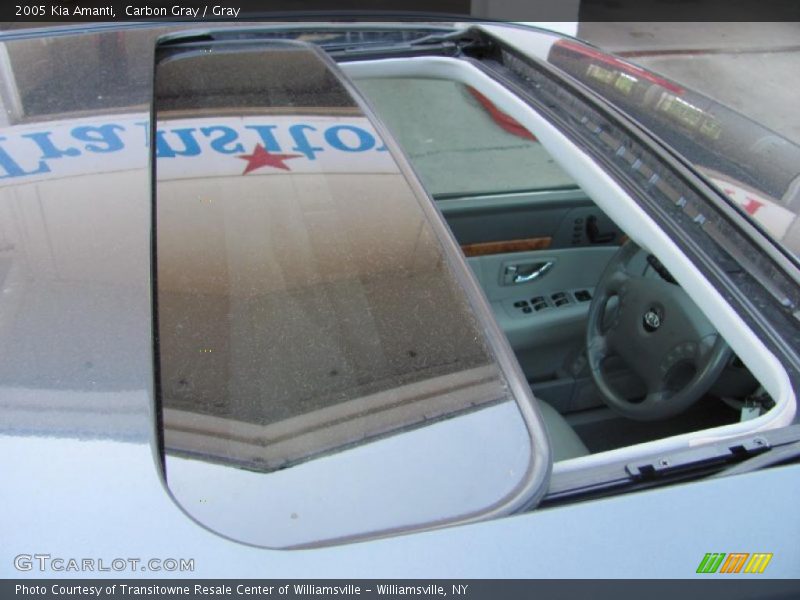 Carbon Gray / Gray 2005 Kia Amanti