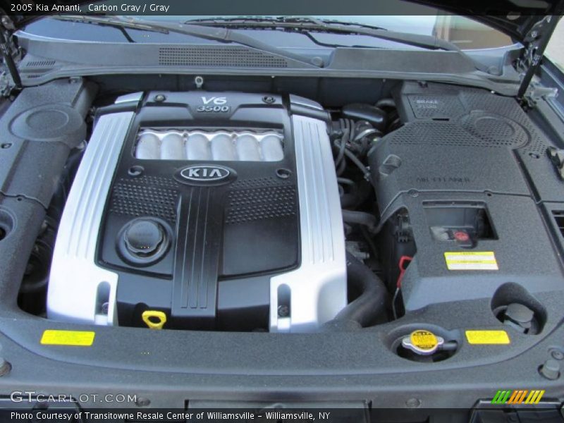 Carbon Gray / Gray 2005 Kia Amanti