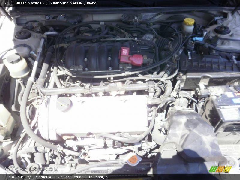 Sunlit Sand Metallic / Blond 2001 Nissan Maxima SE