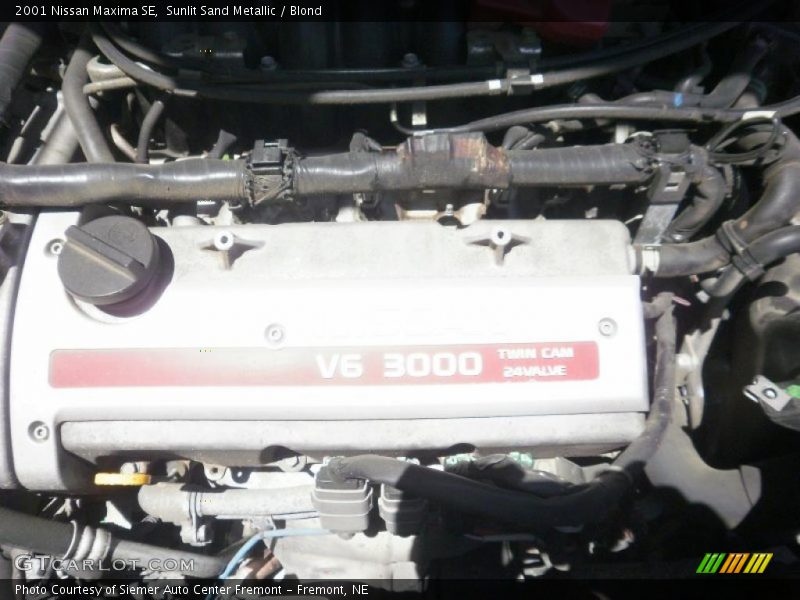 Sunlit Sand Metallic / Blond 2001 Nissan Maxima SE