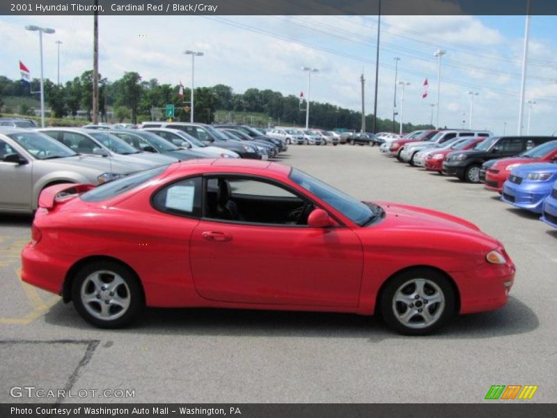 Cardinal Red / Black/Gray 2001 Hyundai Tiburon