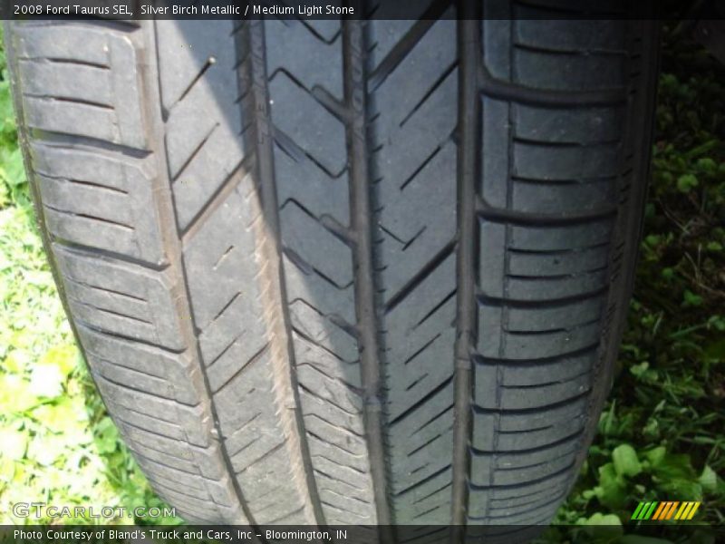 Silver Birch Metallic / Medium Light Stone 2008 Ford Taurus SEL