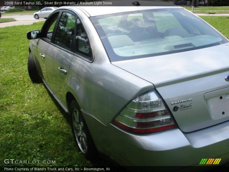Silver Birch Metallic / Medium Light Stone 2008 Ford Taurus SEL