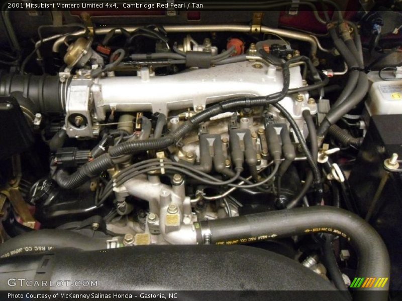 Cambridge Red Pearl / Tan 2001 Mitsubishi Montero Limited 4x4