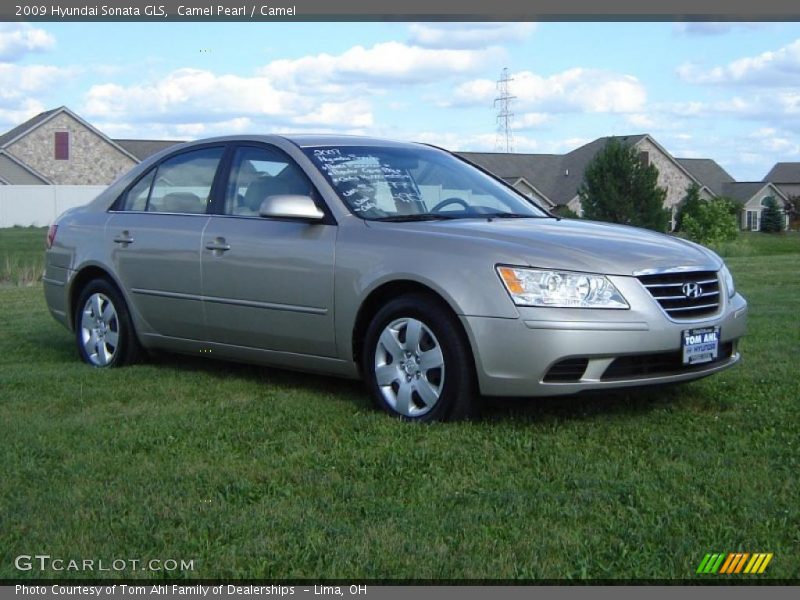 Camel Pearl / Camel 2009 Hyundai Sonata GLS