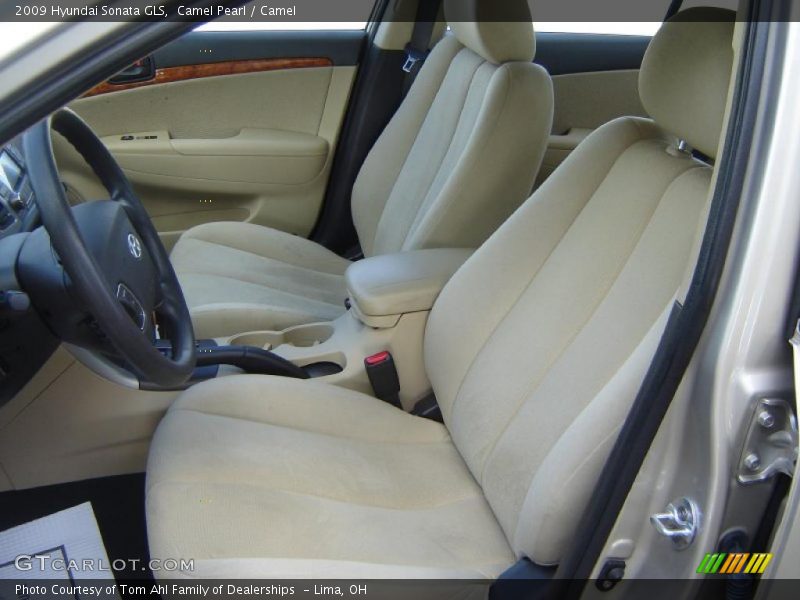 Camel Pearl / Camel 2009 Hyundai Sonata GLS