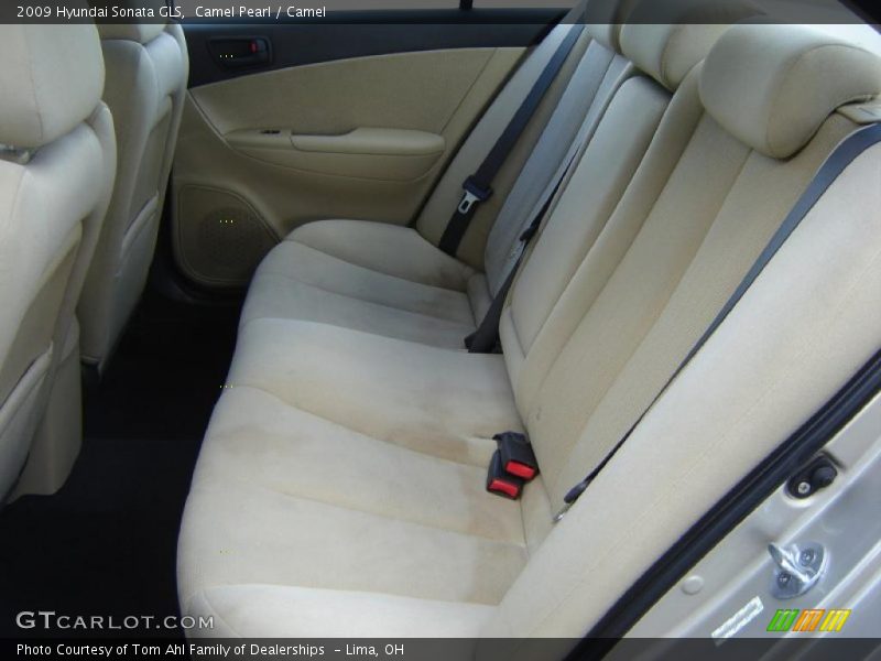 Camel Pearl / Camel 2009 Hyundai Sonata GLS
