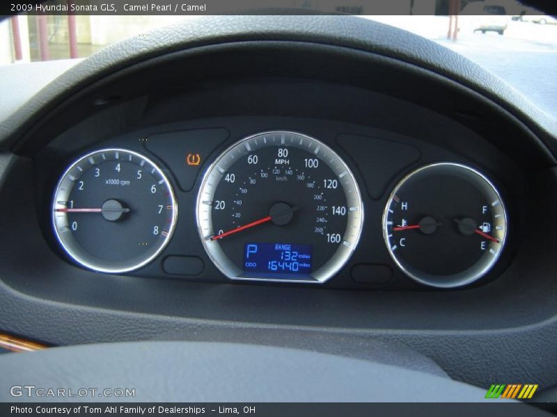 Camel Pearl / Camel 2009 Hyundai Sonata GLS