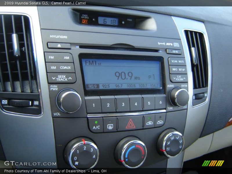 Camel Pearl / Camel 2009 Hyundai Sonata GLS