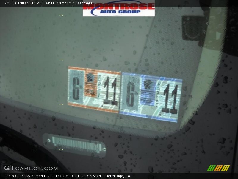 White Diamond / Cashmere 2005 Cadillac STS V6