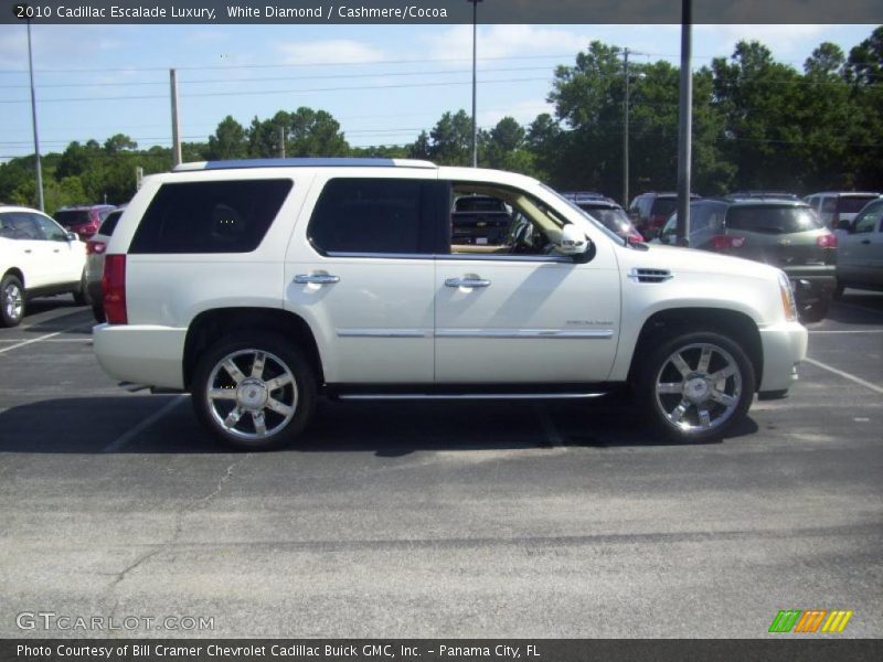 White Diamond / Cashmere/Cocoa 2010 Cadillac Escalade Luxury