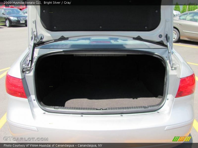 Bright Silver / Gray 2009 Hyundai Sonata GLS