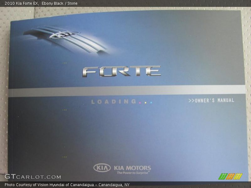 Ebony Black / Stone 2010 Kia Forte EX