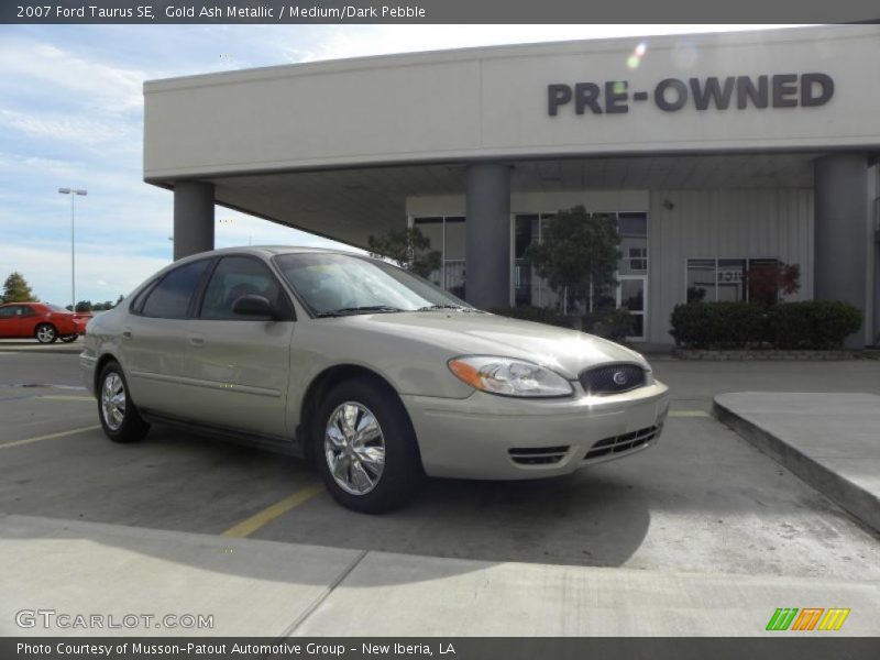 Gold Ash Metallic / Medium/Dark Pebble 2007 Ford Taurus SE
