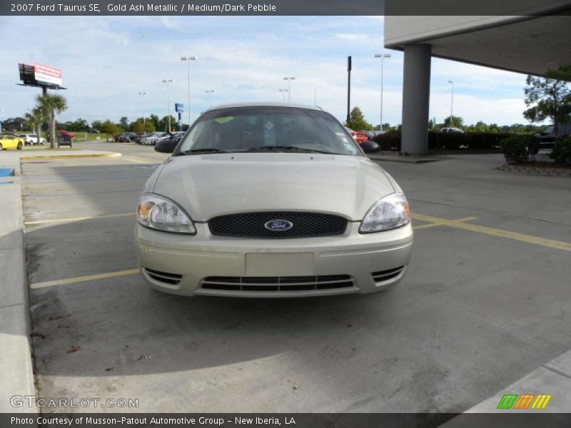 Gold Ash Metallic / Medium/Dark Pebble 2007 Ford Taurus SE