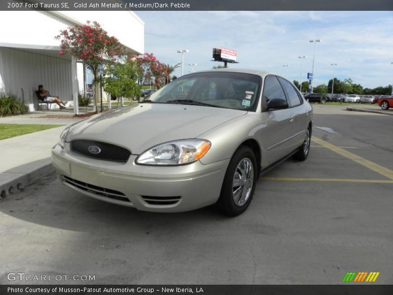 Gold Ash Metallic / Medium/Dark Pebble 2007 Ford Taurus SE