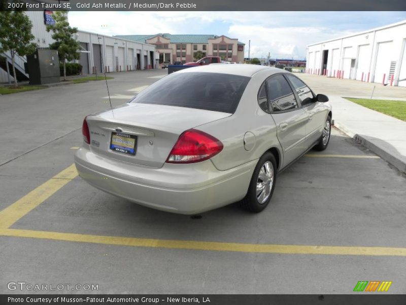 Gold Ash Metallic / Medium/Dark Pebble 2007 Ford Taurus SE