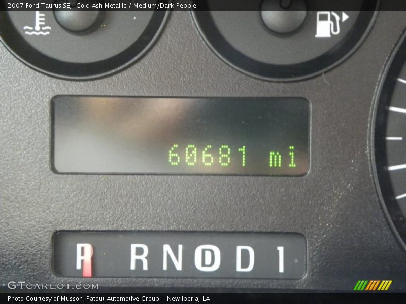 Gold Ash Metallic / Medium/Dark Pebble 2007 Ford Taurus SE