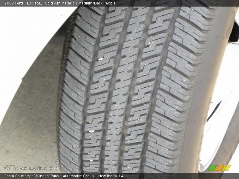 Gold Ash Metallic / Medium/Dark Pebble 2007 Ford Taurus SE