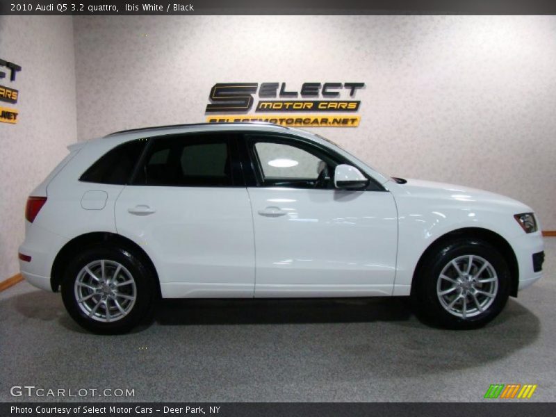 Ibis White / Black 2010 Audi Q5 3.2 quattro