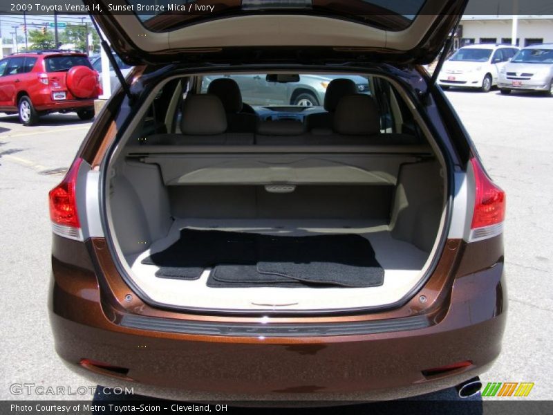 Sunset Bronze Mica / Ivory 2009 Toyota Venza I4