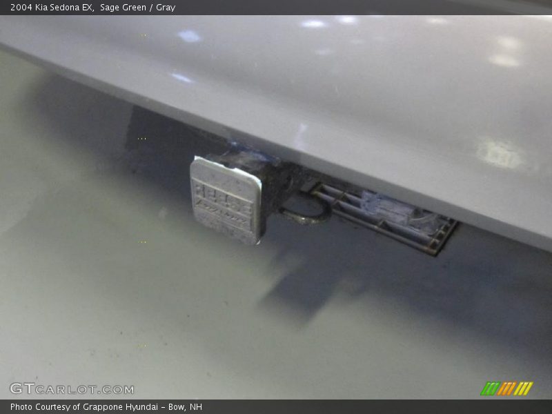 Sage Green / Gray 2004 Kia Sedona EX