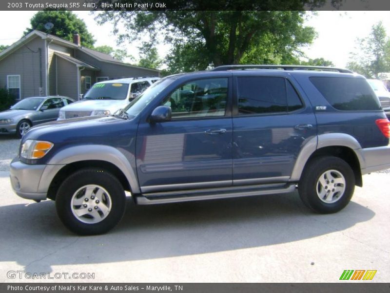 Blue Marlin Pearl / Oak 2003 Toyota Sequoia SR5 4WD