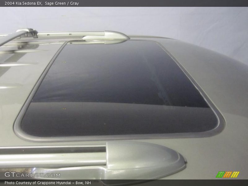 Sage Green / Gray 2004 Kia Sedona EX