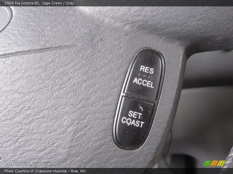 Sage Green / Gray 2004 Kia Sedona EX
