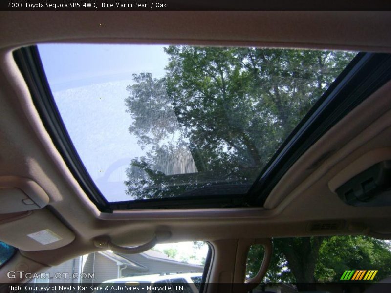 Blue Marlin Pearl / Oak 2003 Toyota Sequoia SR5 4WD