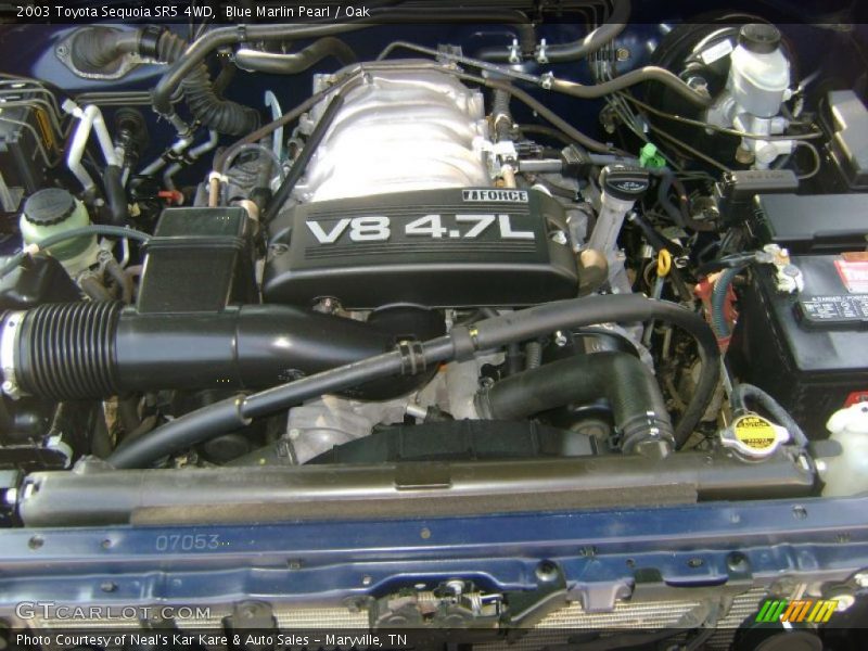 Blue Marlin Pearl / Oak 2003 Toyota Sequoia SR5 4WD