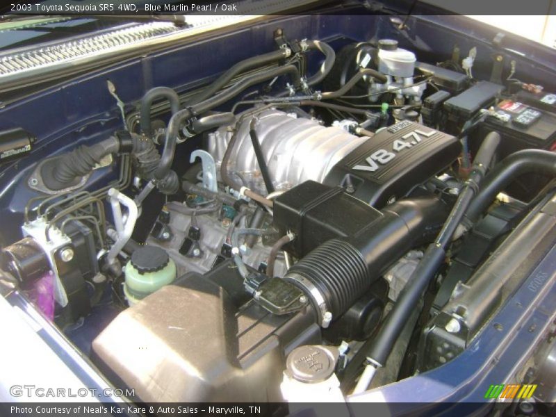 Blue Marlin Pearl / Oak 2003 Toyota Sequoia SR5 4WD