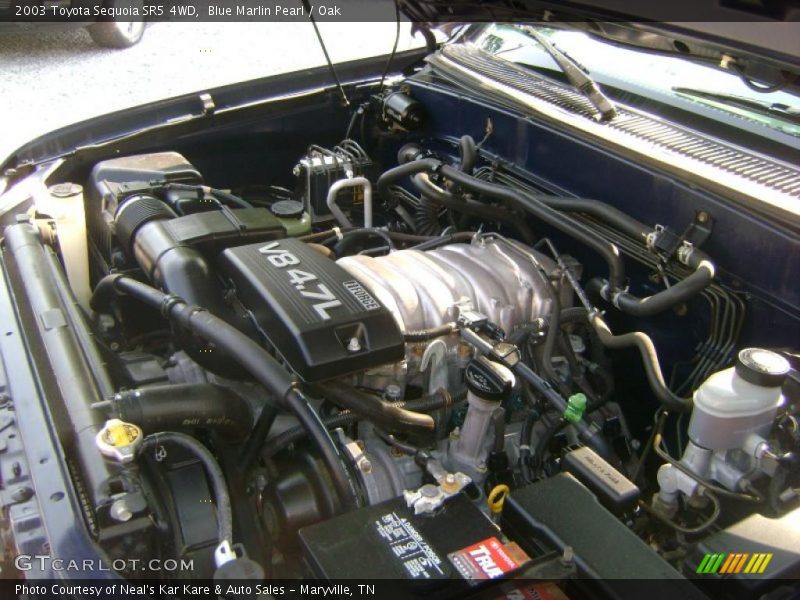 Blue Marlin Pearl / Oak 2003 Toyota Sequoia SR5 4WD