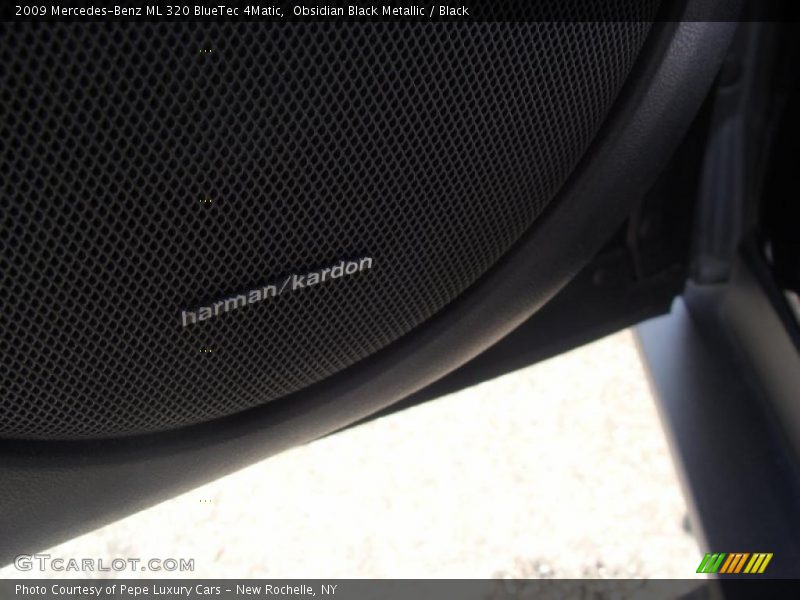 Obsidian Black Metallic / Black 2009 Mercedes-Benz ML 320 BlueTec 4Matic