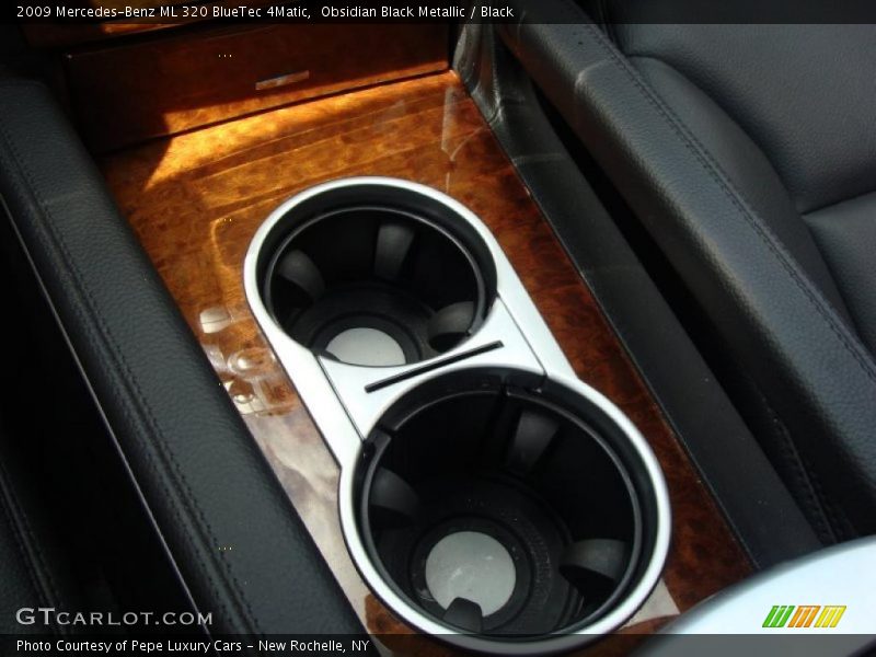 Obsidian Black Metallic / Black 2009 Mercedes-Benz ML 320 BlueTec 4Matic