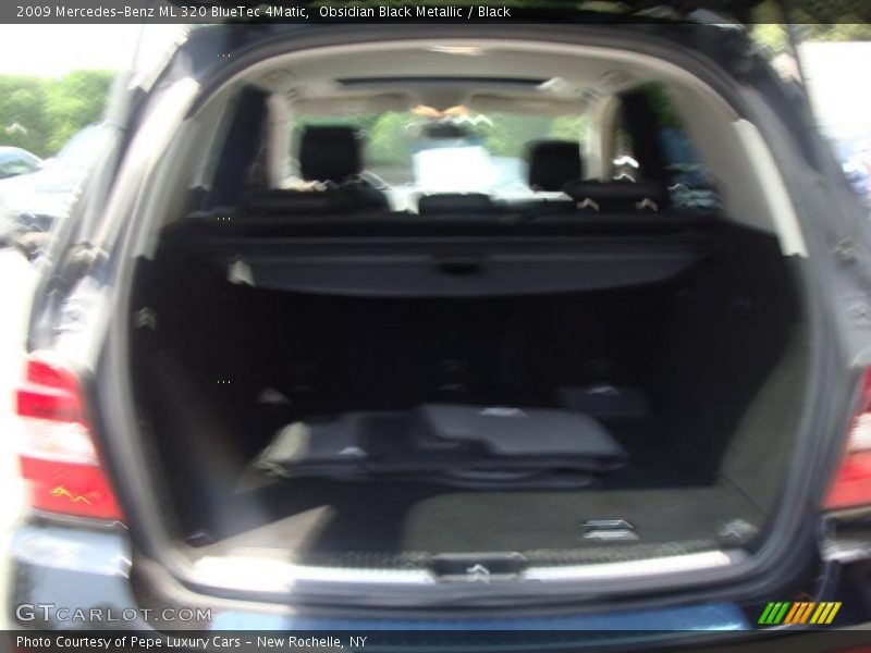 Obsidian Black Metallic / Black 2009 Mercedes-Benz ML 320 BlueTec 4Matic