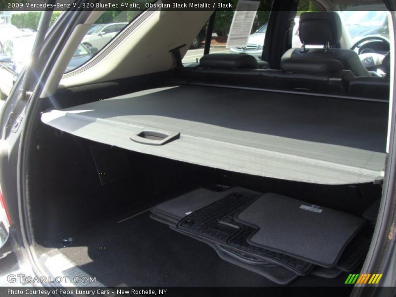 Obsidian Black Metallic / Black 2009 Mercedes-Benz ML 320 BlueTec 4Matic