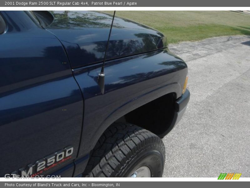 Patriot Blue Pearl / Agate 2001 Dodge Ram 2500 SLT Regular Cab 4x4