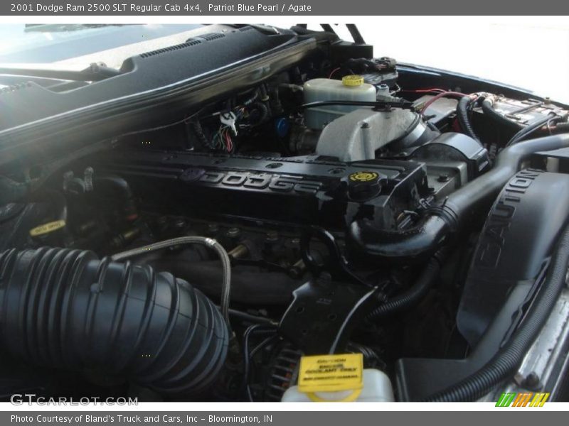 Patriot Blue Pearl / Agate 2001 Dodge Ram 2500 SLT Regular Cab 4x4