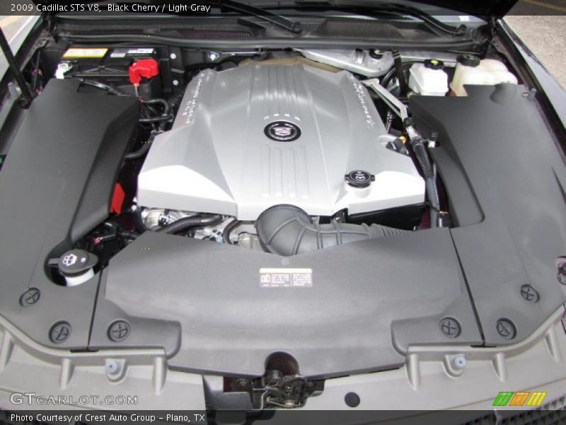 Black Cherry / Light Gray 2009 Cadillac STS V8