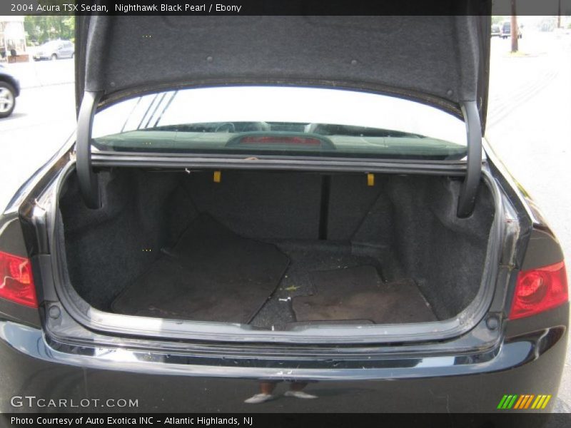 Nighthawk Black Pearl / Ebony 2004 Acura TSX Sedan