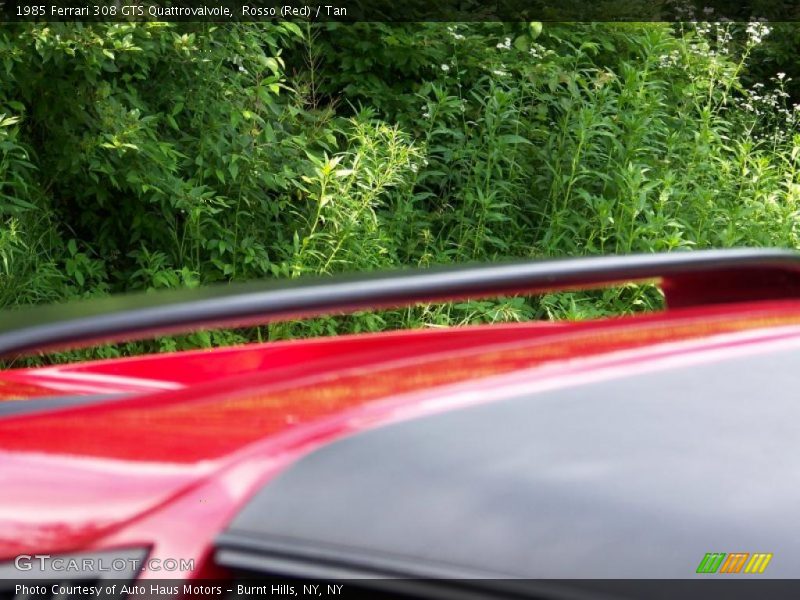 Rosso (Red) / Tan 1985 Ferrari 308 GTS Quattrovalvole
