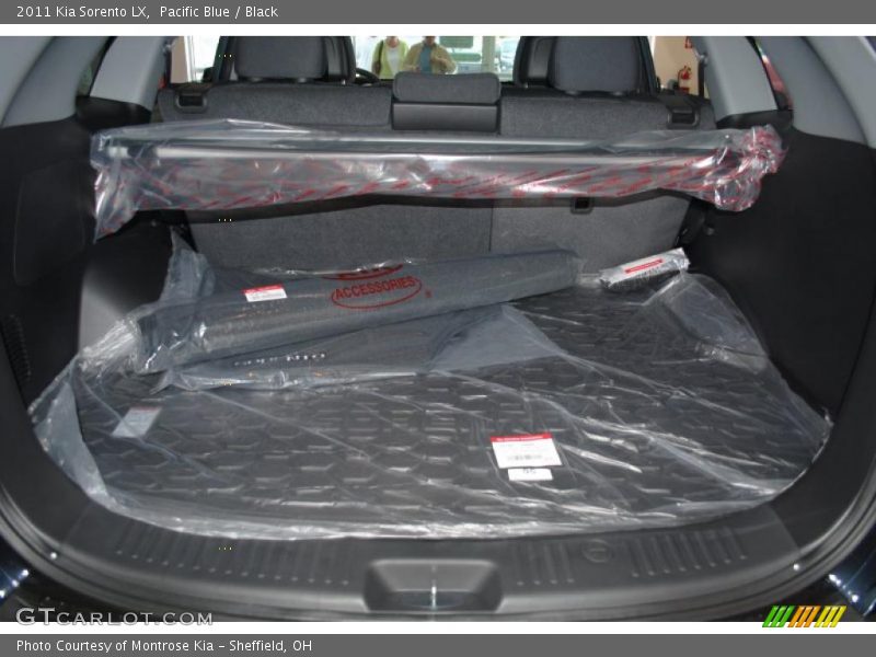 Pacific Blue / Black 2011 Kia Sorento LX