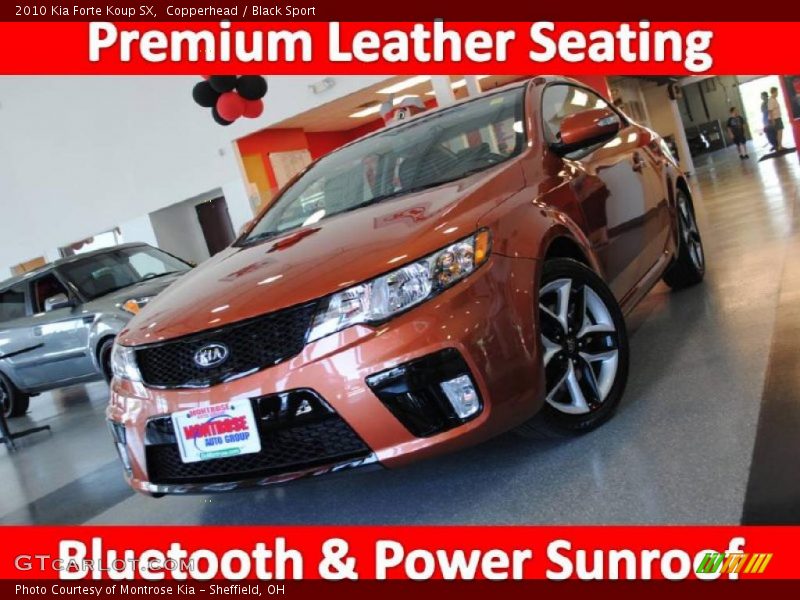 Copperhead / Black Sport 2010 Kia Forte Koup SX