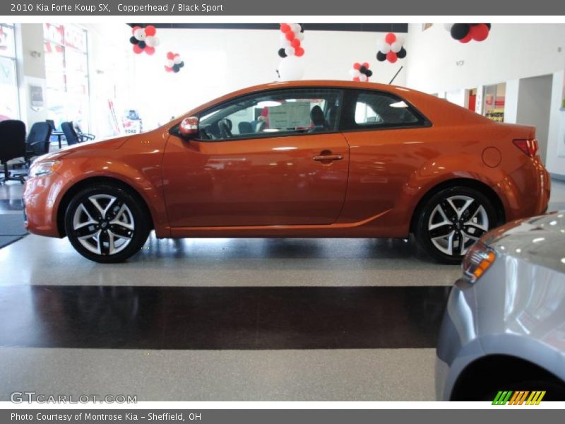 Copperhead / Black Sport 2010 Kia Forte Koup SX
