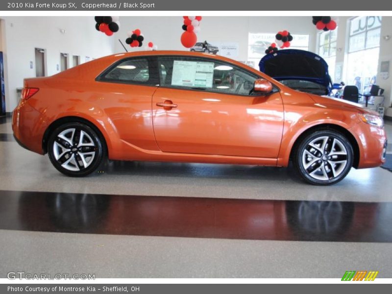 Copperhead / Black Sport 2010 Kia Forte Koup SX