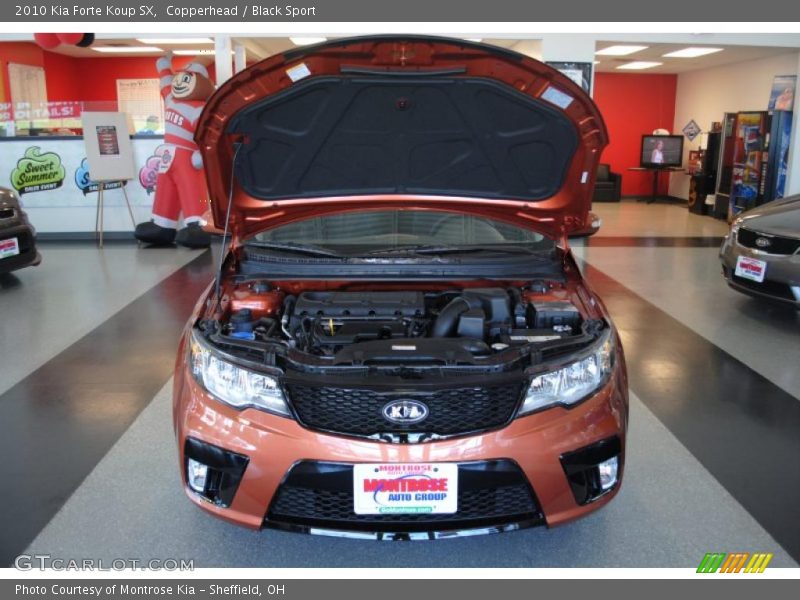 Copperhead / Black Sport 2010 Kia Forte Koup SX