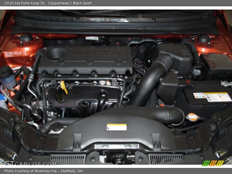 Copperhead / Black Sport 2010 Kia Forte Koup SX